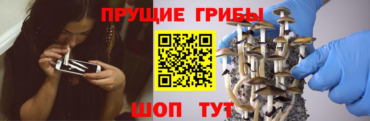 Псилоцибиновые грибы GOLDEN TEACHER  Псилоцибиновые грибы мицелий  наркота  Ангарск  Вход с VPN 